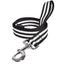 BOBBY Pack Rongeur Harnais + Laisse Stripe Noir Taille 2XS