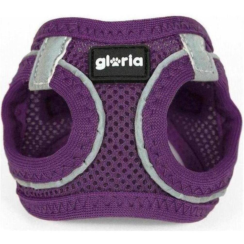 ZOOMALIN Harnais Air Mesh Trek Star Chien