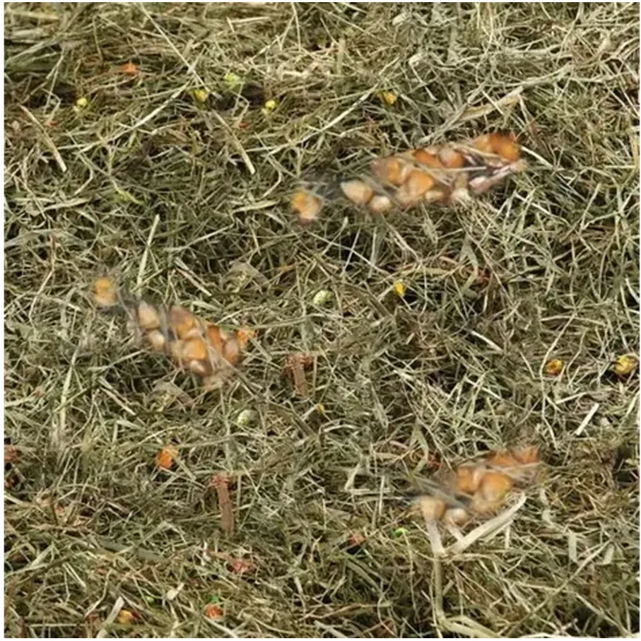 FLAMINGO Foin de montagne au maïs et blé 500g