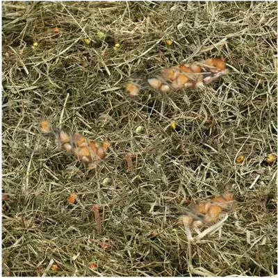 FLAMINGO Foin de montagne au maïs et blé 500g