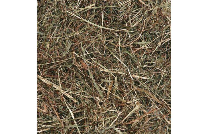 FLAMINGO Foin de montage avec menthe 500g