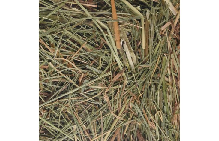 FLAMINGO Foin de montagne avec ortie 500g