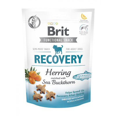 BRIT Recovery 150g