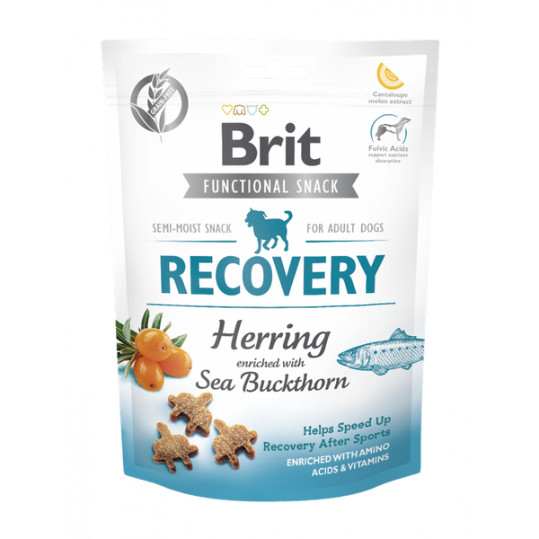 BRIT Recovery 150g