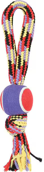 ZOLUX Jouet Corde Tennis Poignée 40cm Multicolore
