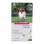 BAYER Advantix Pipettes Antiparasitaires pour Chien