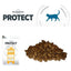 PROTECT Chat Urinary 8kg
