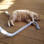 LAROY Canne à Pêche Nature pour Chats avec Herbe à Chat Naturelle