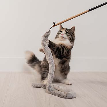 LAROY Canne à Pêche Nature pour Chats avec Herbe à Chat Naturelle