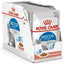 ROYAL CANIN Indoor Sterilised en Sauce 12x85g