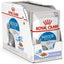 ROYAL CANIN Indoor Gelée 12x85g