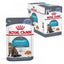 ROYAL CANIN Urinary Care Gelée 12x85g