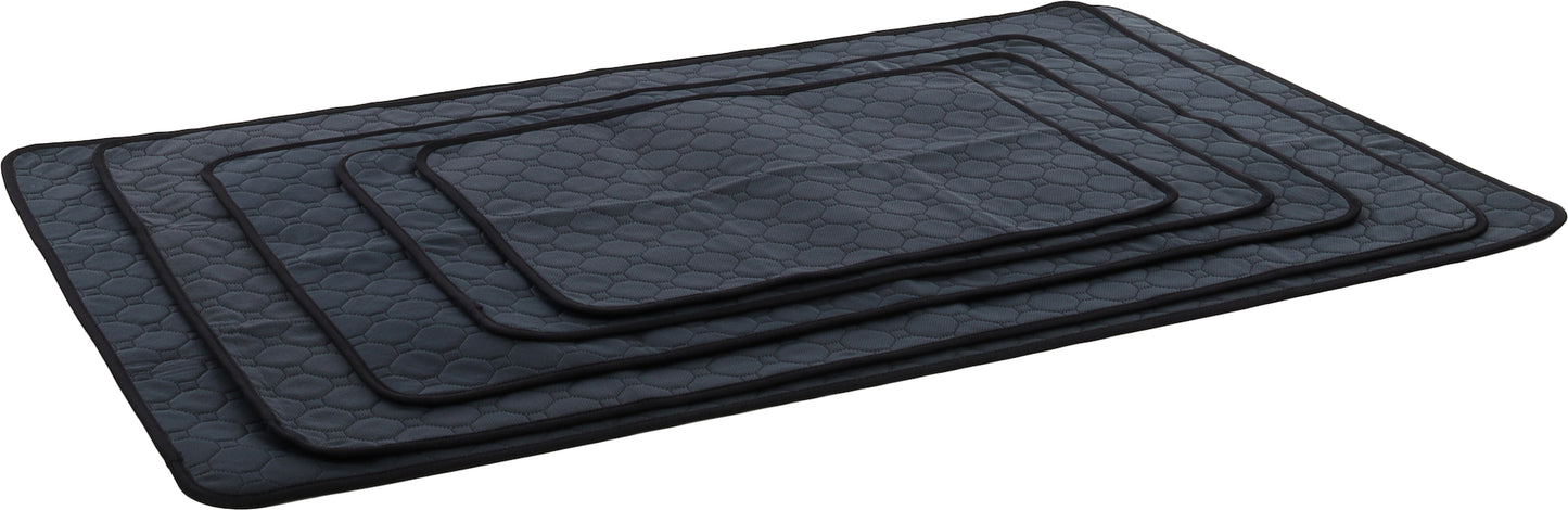 ZOOMALIN 3x Tapis d'Entraînement Lavable Patsy Gris S 54x38cm