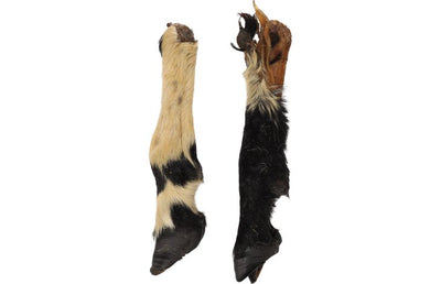 FLAMINGO Nature Snack Pied de Mouton avec Poils Friandise Naturelle Chien