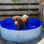 Duvo+ Piscine pour chien Dog Pool Ø 120 × 30 cm