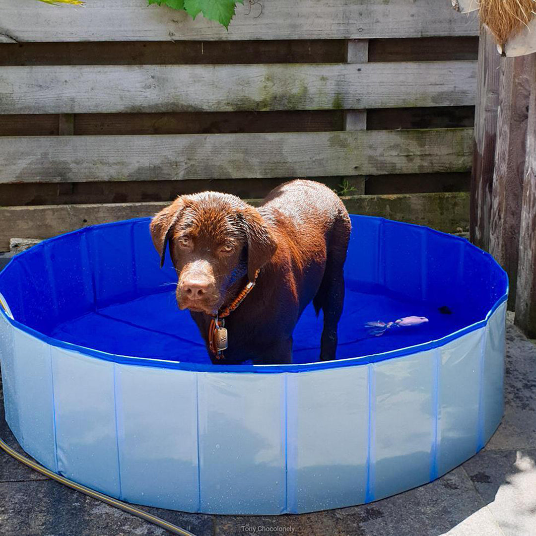 Duvo+ Piscine pour chien Dog Pool Ø 120 × 30 cm