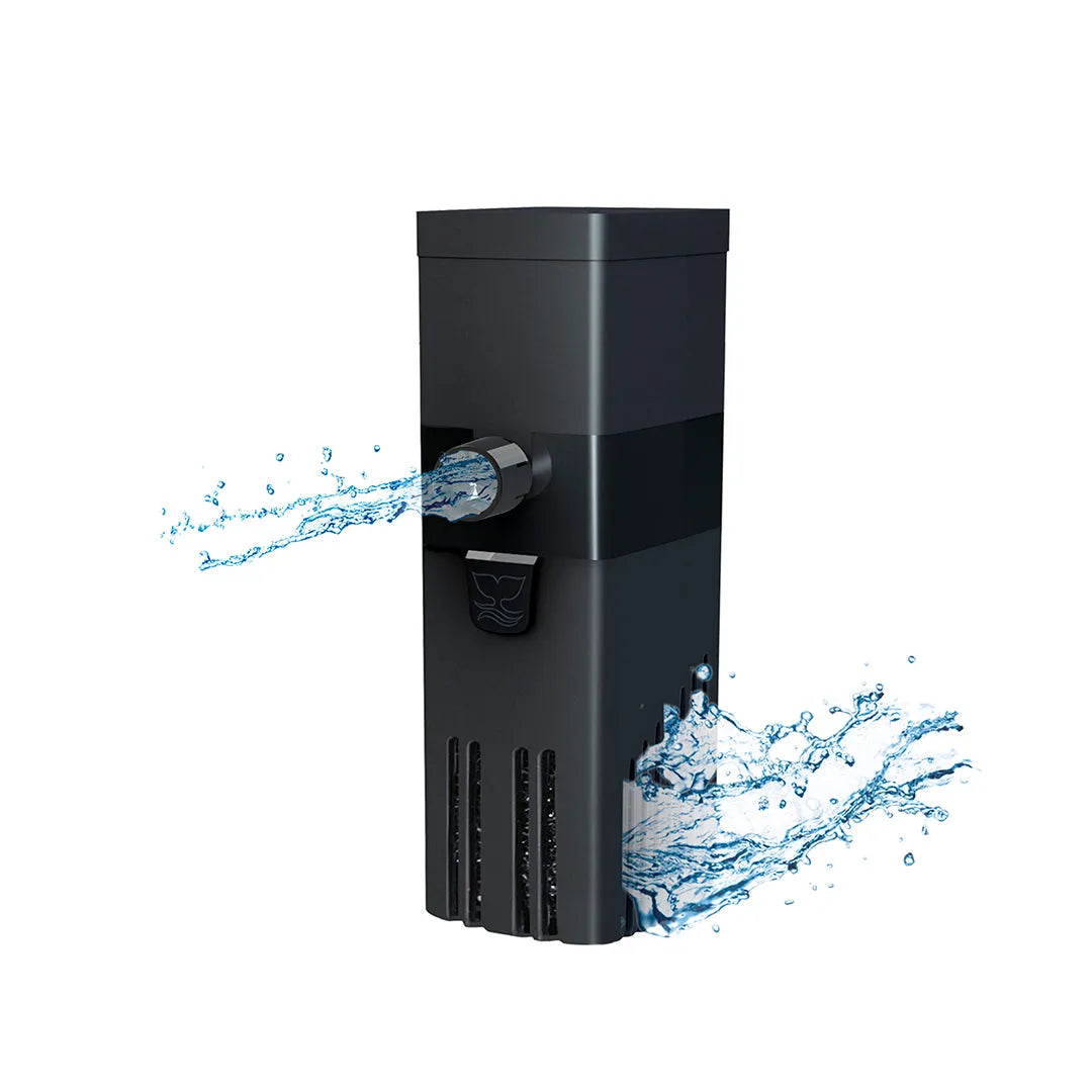 LAROY Filtre Interne avec Éponges pour Aquarium jusqu'à 100L