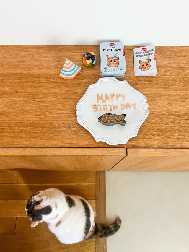 KIKKERLAND Kiko Cat Happy Birthday Kit Kit Anniversaire Chat