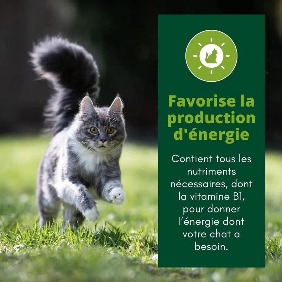 EQUILIBRE & INSTINCT Effilés énergie chat stérilisé au poulet, courges, agrumes 12x85g