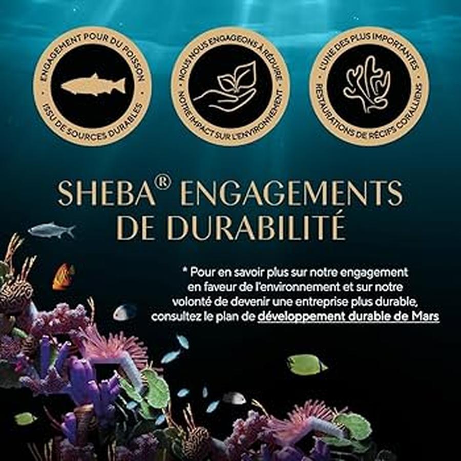SHEBA Délices Gourmands Taste of Tokyo Thon Saumon Poisson Blanc Riz 6x50g