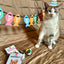 KIKKERLAND Kiko Cat Happy Birthday Kit Kit Anniversaire Chat
