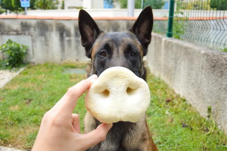 VADIGRAN Butcher Natural Nez de cochon soufflés Vrac 40g à la pièce