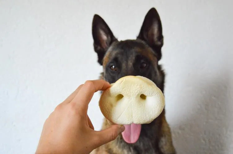 VADIGRAN Butcher Natural Nez de cochon soufflés Vrac 40g à la pièce