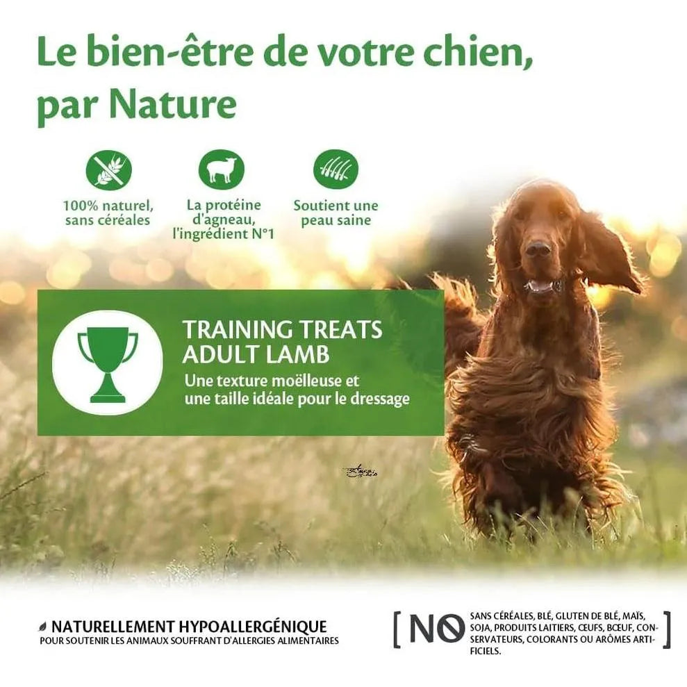 WELLNESS CORE Training Treats Agneau & Pommes Friandises Moelleuses pour Chien 170g