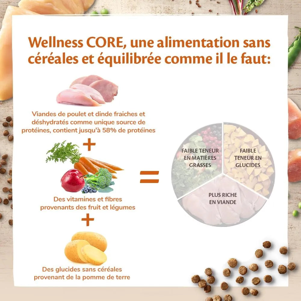 WELLNESS CORE Chaton Croquettes Dinde Poulet 300g
