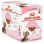 ROYAL CANIN Kitten Sterilised Gelée 12x85g