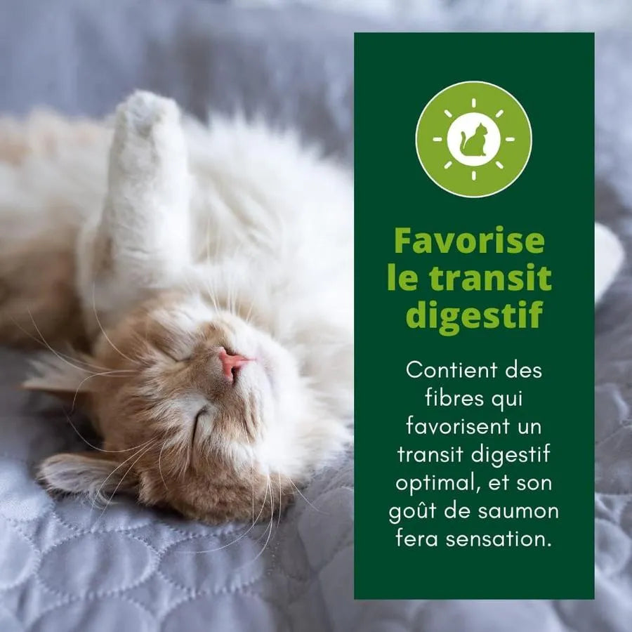 EQUILIBRE & INSTINCT Effilés Sensation Chat Stérilisé Saumon Ananas Cranberries 12x85g