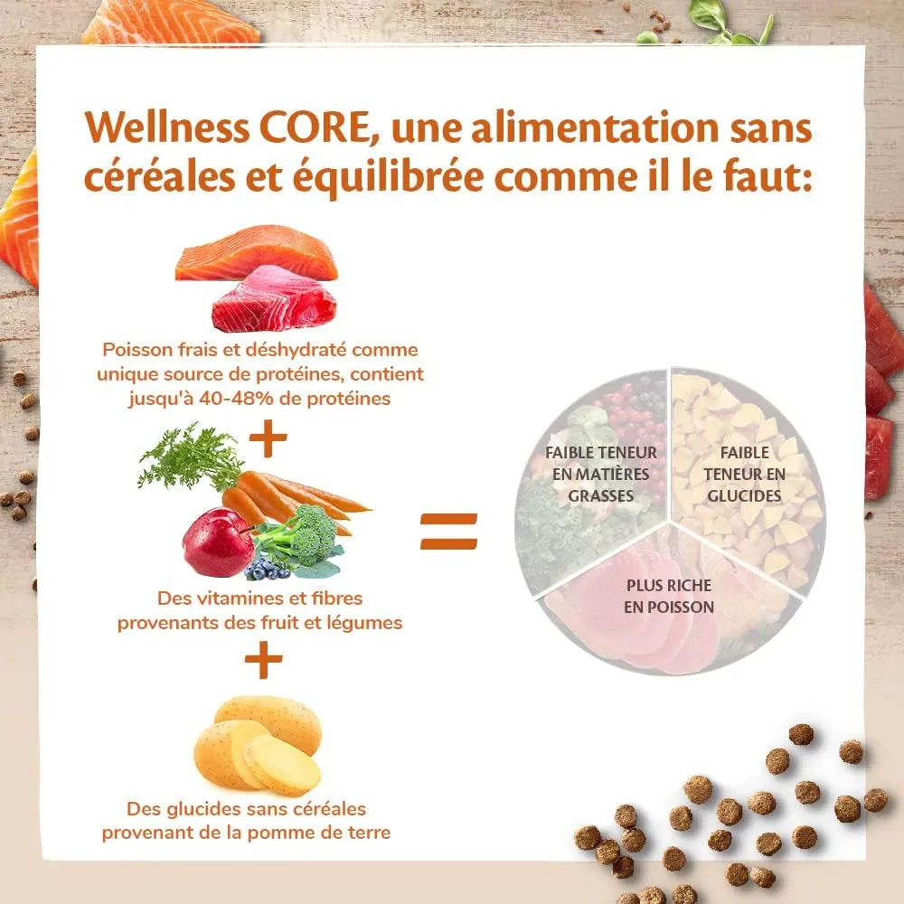 WELLNESS CORE Chat Stérilisé Croquettes Saumon 300g