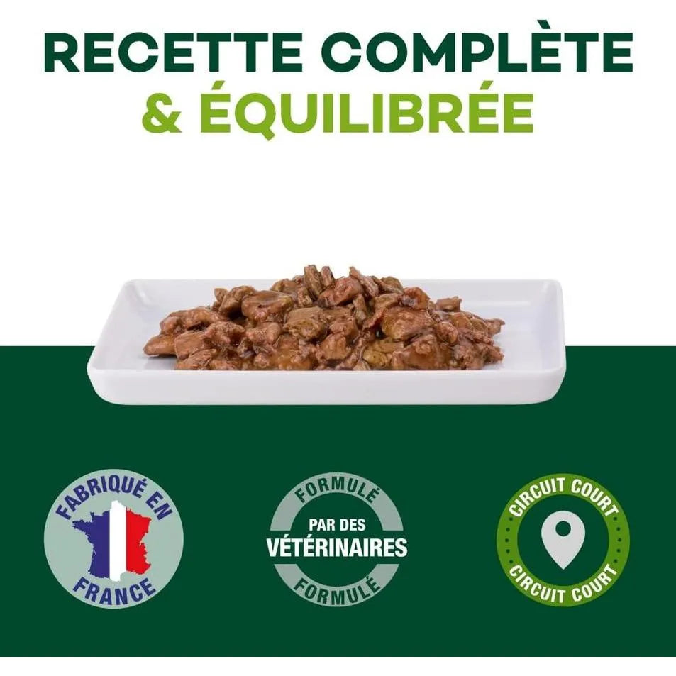 EQUILIBRE & INSTINCT Effilés Sensation Chat Stérilisé Saumon Ananas Cranberries 12x85g