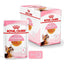ROYAL CANIN Kitten Sterilised Gelée 12x85g