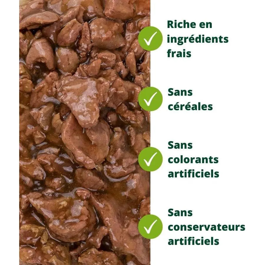 EQUILIBRE & INSTINCT Effilés Sensation Chat Stérilisé Saumon Ananas Cranberries 12x85g
