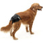 SAVIC Comfort Nappy Couches Jetables pour Chien Taille 3 (36-54cm) 12 pièces