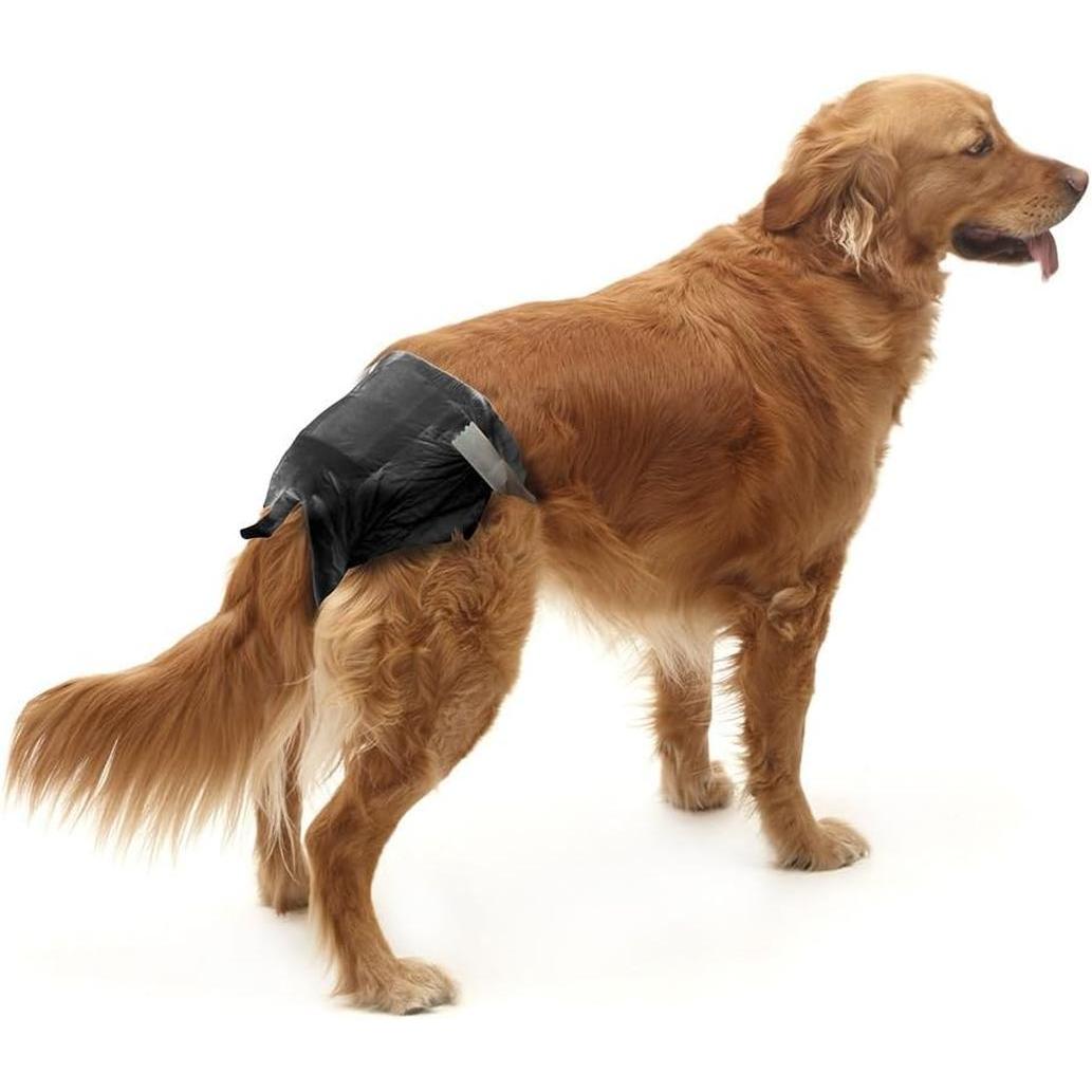 SAVIC Comfort Nappy Couches Jetables pour Chien Taille 3 (36-54cm) 12 pièces