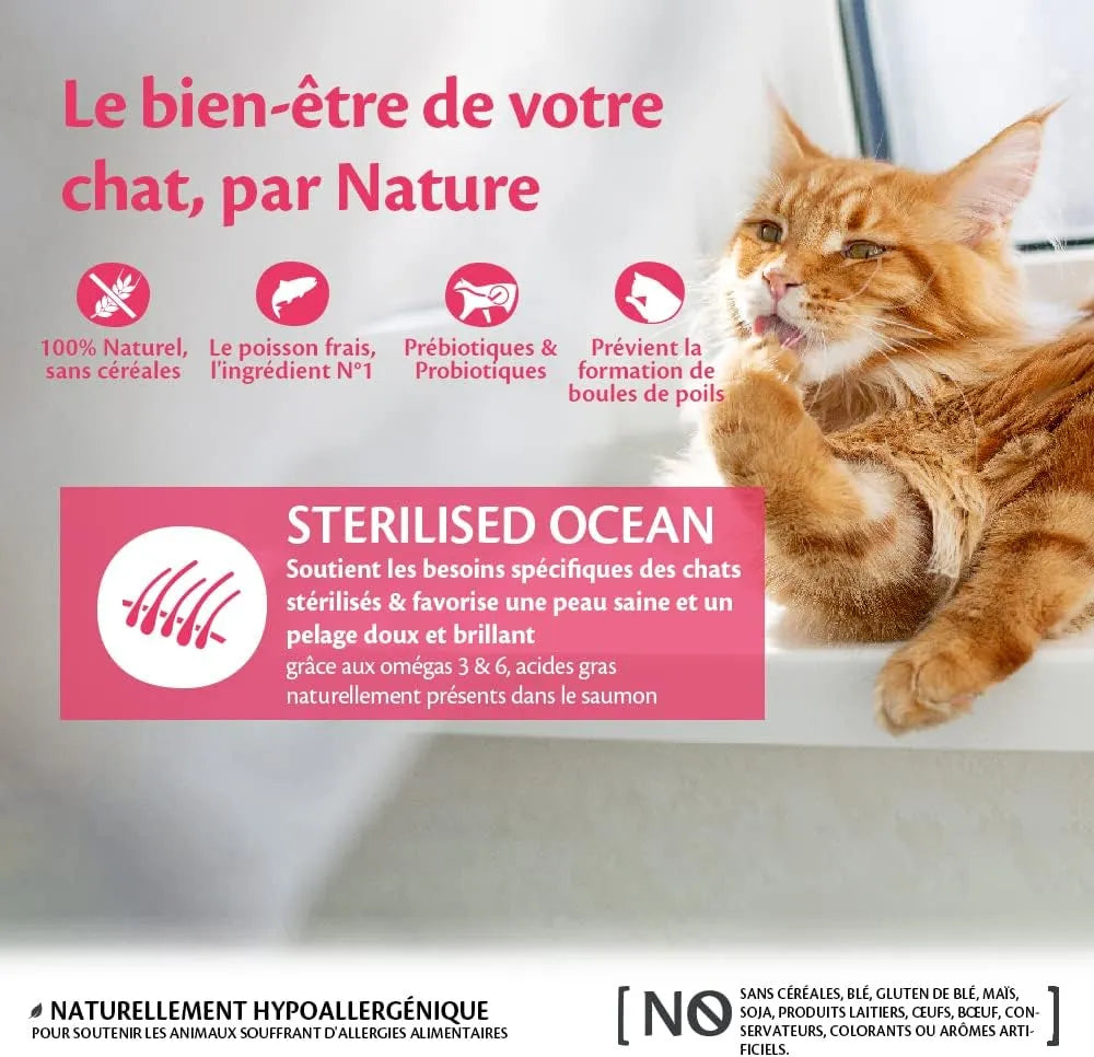 WELLNESS CORE Chat Stérilisé Croquettes Saumon 300g