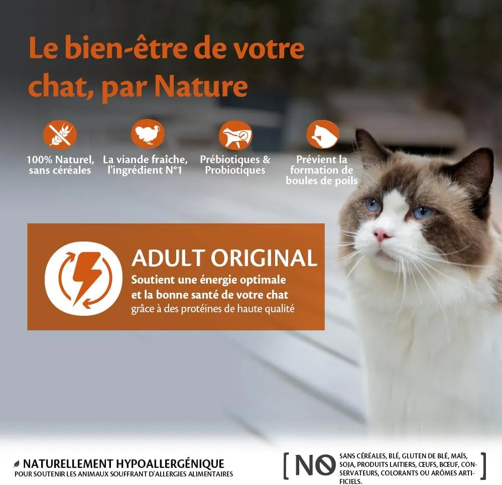 WELLNESS CORE Original Croquettes Chat Dinde Poulet