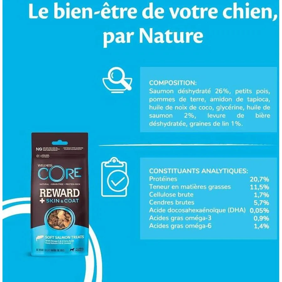 WELLNESS CORE Reward+ Friandises Chien Saumon 170g Lot de 2