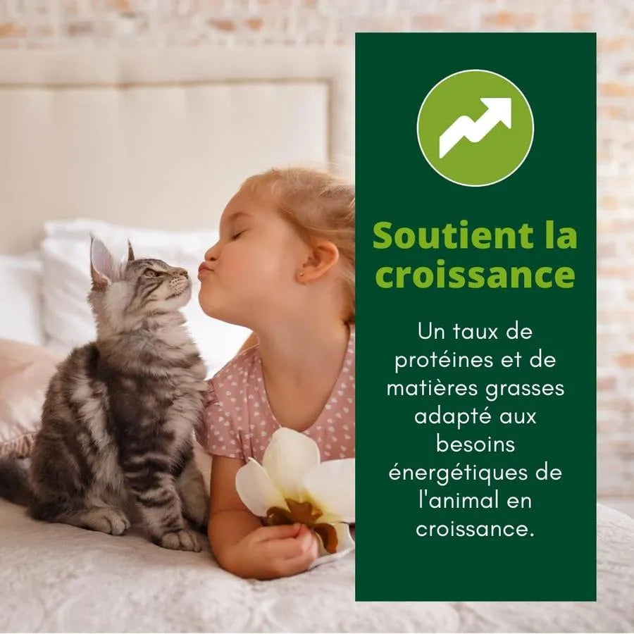 EQUILIBRE & INSTINCT Emincés Croissance pour Chat Junior au Poulet 12x85g