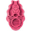 KONG ZoomGroom Brosse pour chien Caoutchouc souple