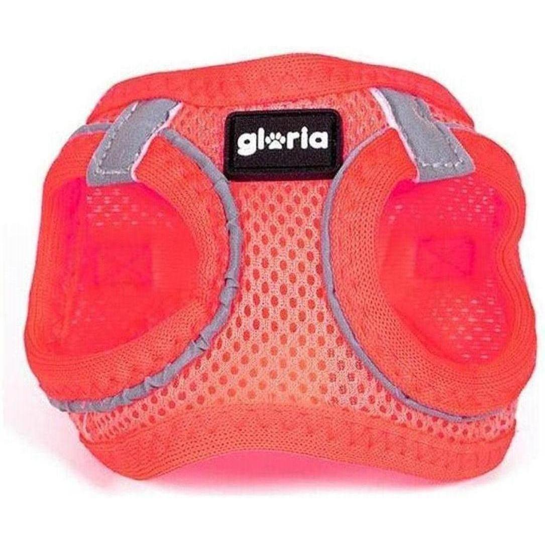 ZOOMALIN Harnais Air Mesh Trek Star Chien