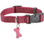 Collier Safe – Sécurité Chien