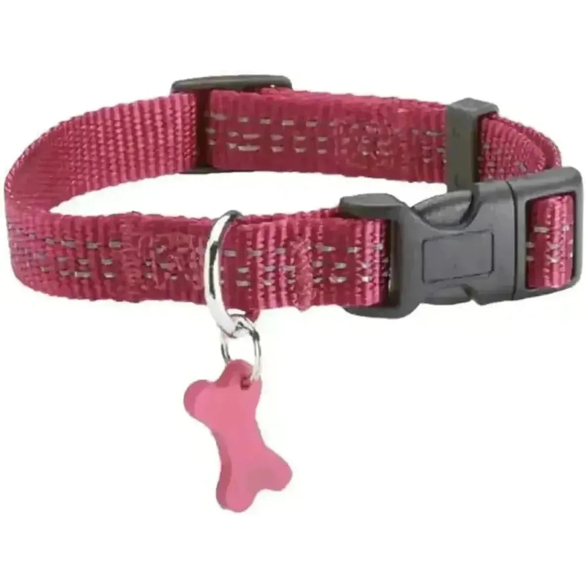 Collier Safe – Sécurité Chien