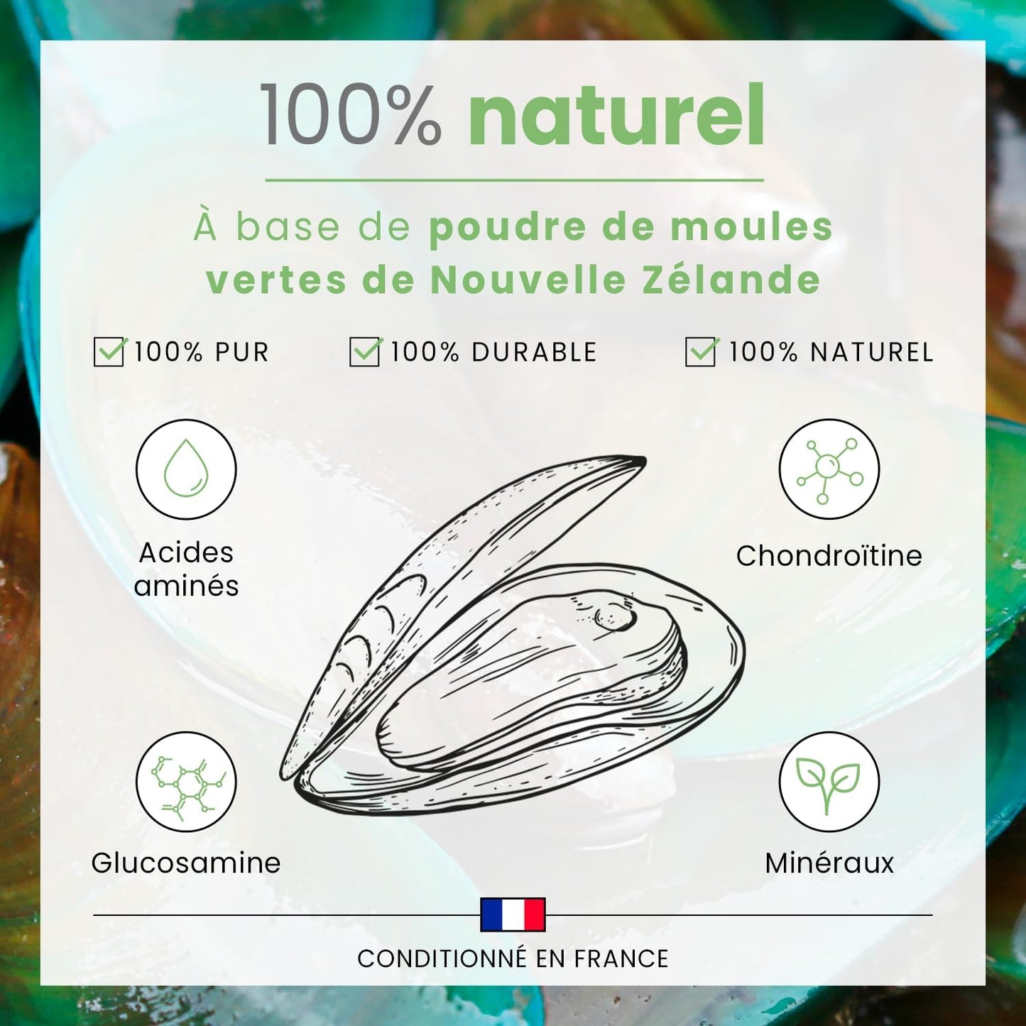 BUBIMEX Poudre de Moules Vertes Bien-Être Articulaire Chien & Chat 60g