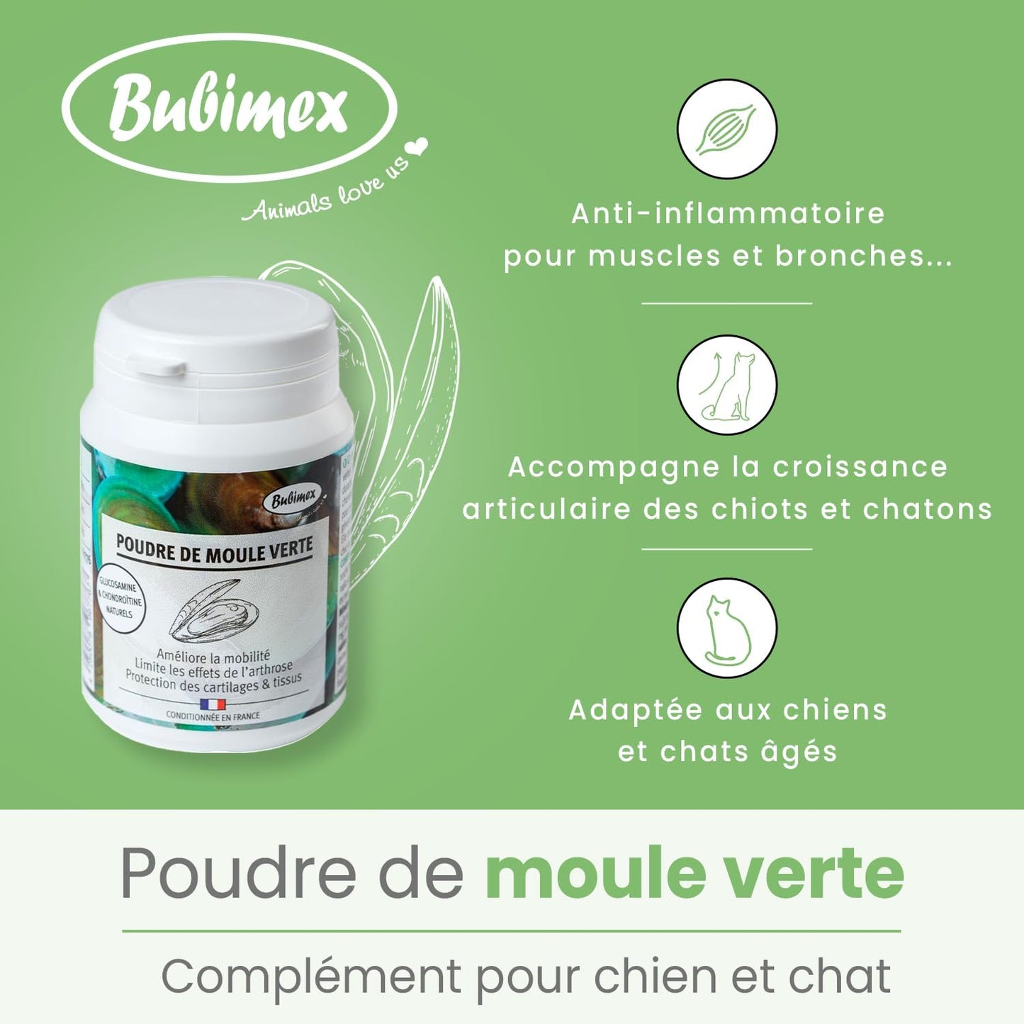BUBIMEX Poudre de Moules Vertes Bien-Être Articulaire Chien & Chat 60g