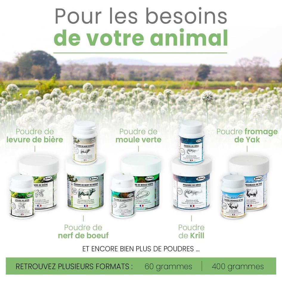 BUBIMEX Spiruline Poudre Complément Alimentaire Chiens et Chats 60g