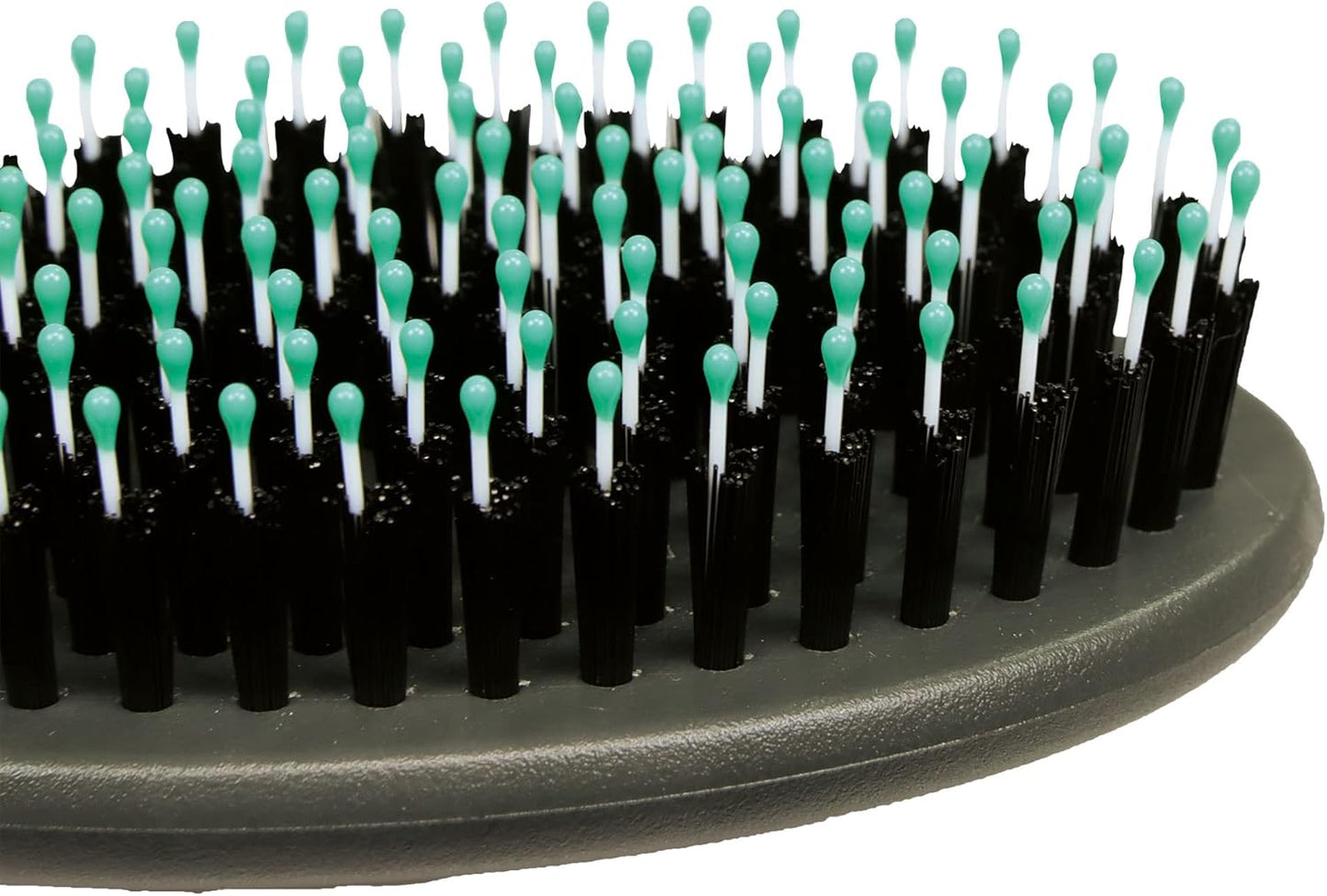 ZOLUX Brosse bi-matière ANAH Taille L Multicolore