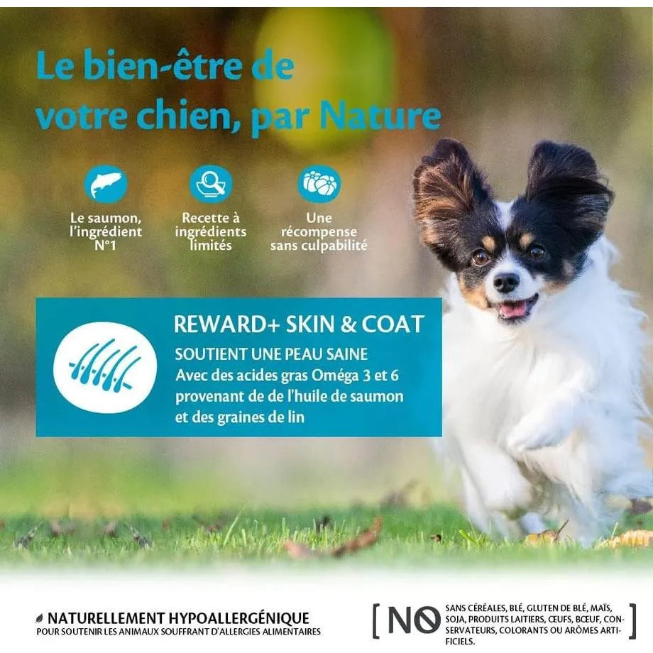 WELLNESS CORE Reward+ Friandises Chien Saumon 170g Lot de 2